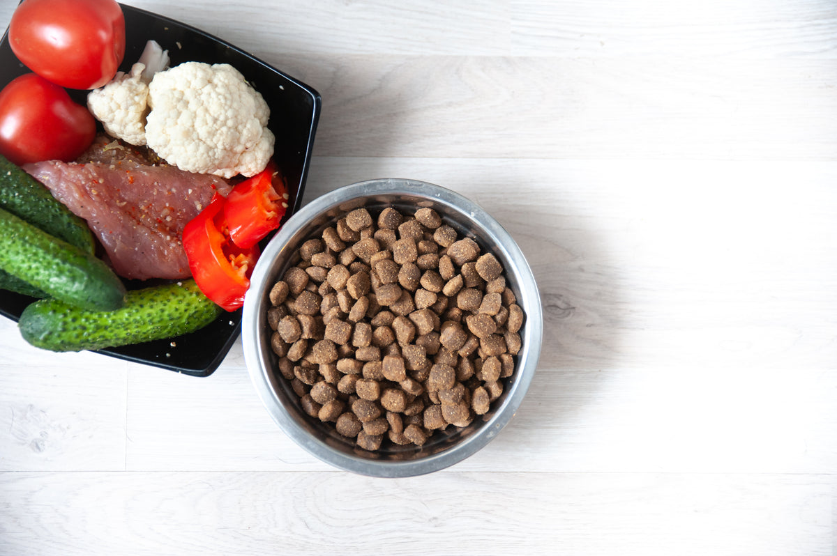 The Ultimate Guide to the Healthiest Grain-Free Dog Foods – Pippa and Max's
