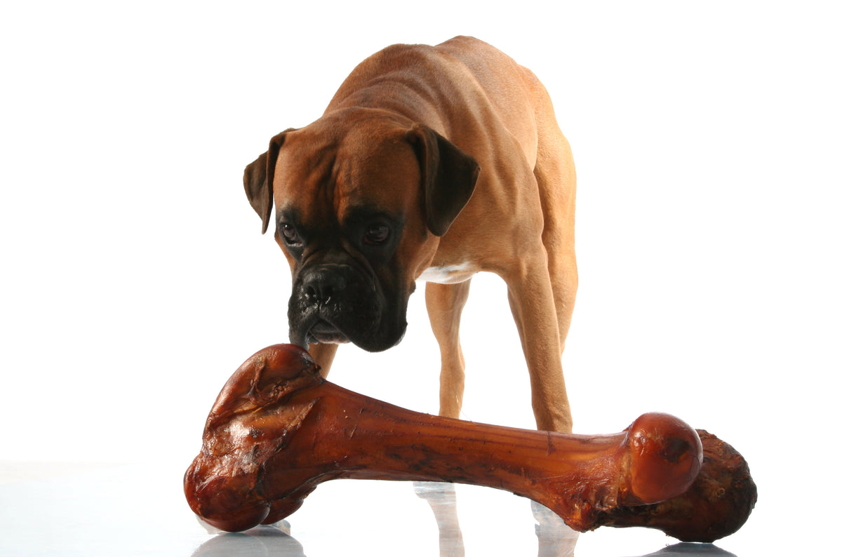 the-dangers-of-cooked-bones-for-dogs-why-you-should-keep-them-away