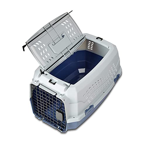 Amazon Basics Hard-Sided Cat Carrier, Two-Door Top-Load Pet Dog/Cat Travel Box Carrier, Blue, 58 L x 38 W x 33 H cm