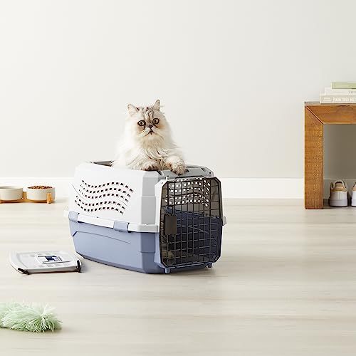 Amazon Basics Hard-Sided Cat Carrier, Two-Door Top-Load Pet Dog/Cat Travel Box Carrier, Blue, 58 L x 38 W x 33 H cm
