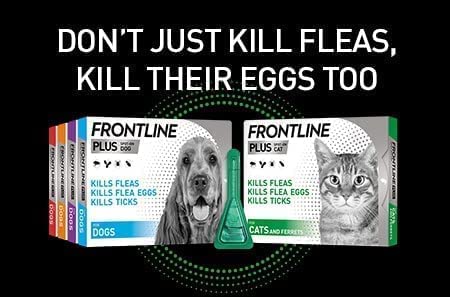 Frontline For Dogs (Plus For XL Dog)