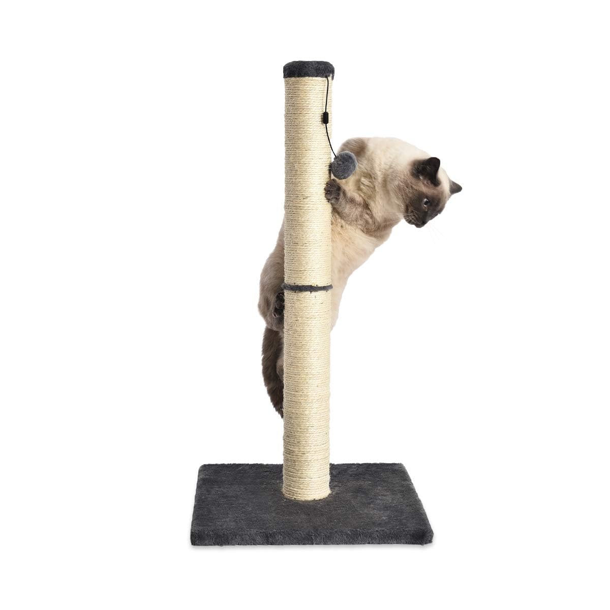 Amazon Basics Cat Scratching Post for Indoor Cats, Standard with Dangling Toy, 80 cm, Grey