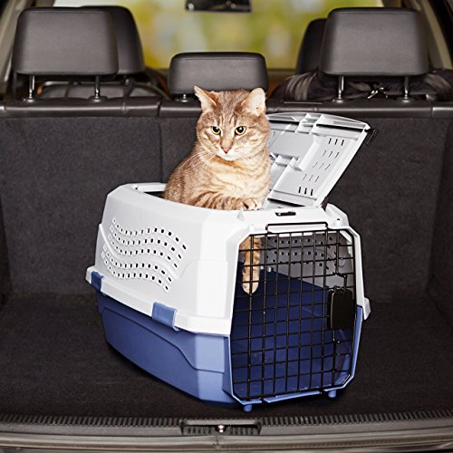 Amazon Basics Hard-Sided Cat Carrier, Two-Door Top-Load Pet Dog/Cat Travel Box Carrier, Blue, 58 L x 38 W x 33 H cm