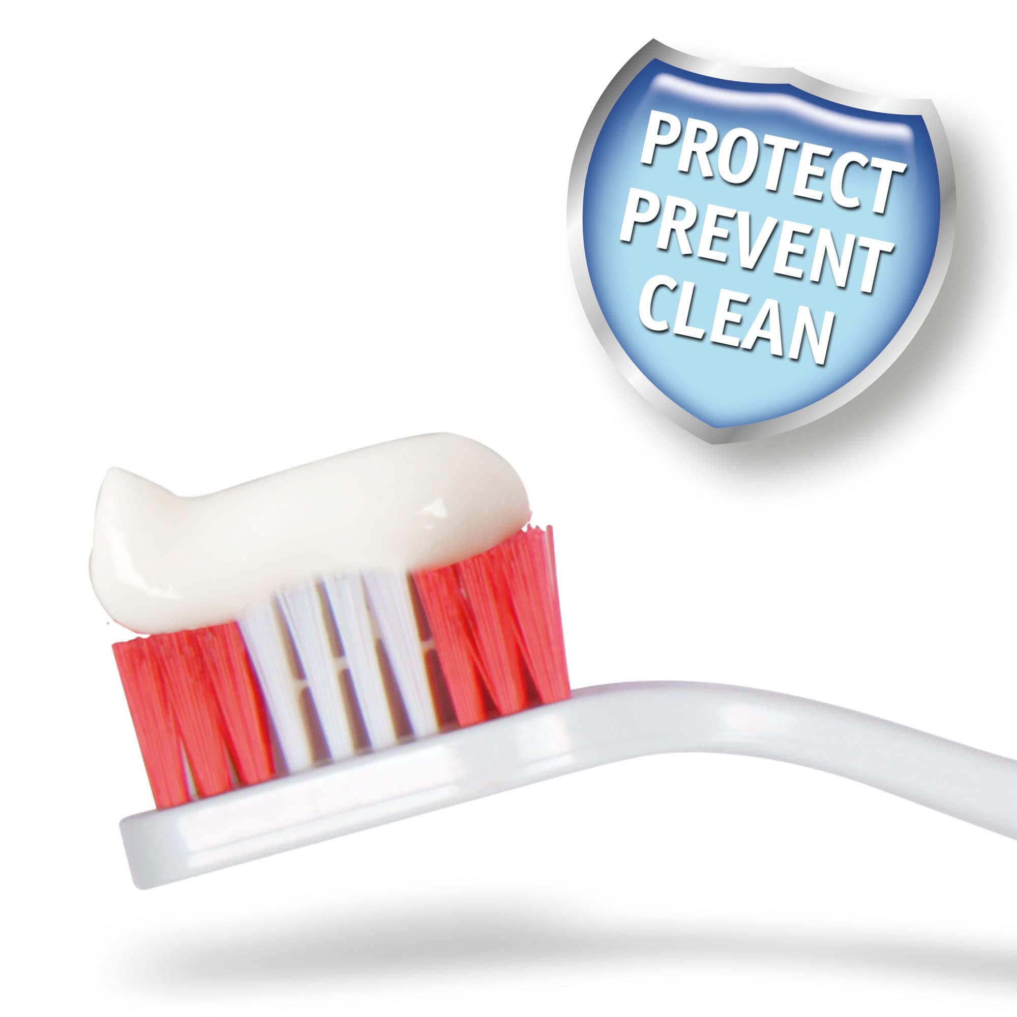 Beaphar | Toothbrush & Toothpaste Dental Care Kit | For Dogs & Cats | Includes A Double-Ended Toothbrush & Liver-Flavoured Enzymatic Toothpaste, 100g Tube, 2 Count (Pack Of 1)