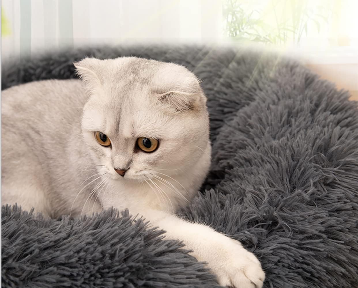 Fhodigogo Plush Donut Dog bed Cat bed Fluffy Calming Pet Bed Dog Round Bed Cat Round Bed Warm Kitten Nest Ideal for Small 3KG Pet
