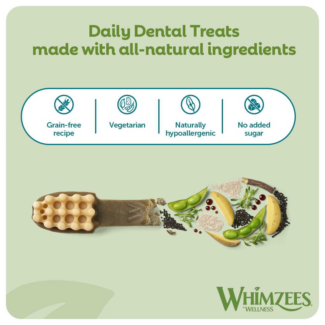 WHIMZEES By Wellness Toothbrush, Month Box, Natural and Grain-Free Dog Chews, Dog Dental Sticks for Medium Breeds, 30 Pieces (One Month Supply), Size M