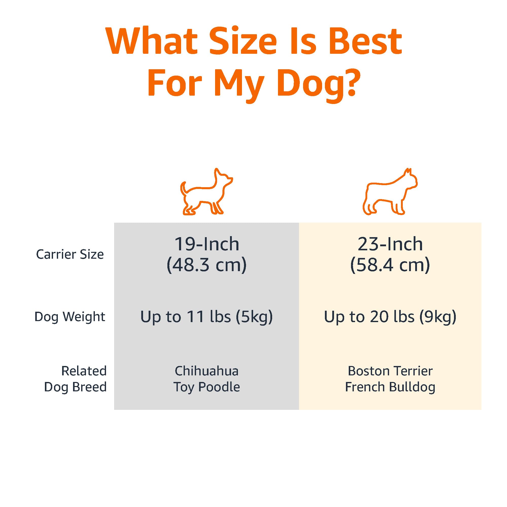 Amazon Basics Hard-Sided Cat Carrier, Two-Door Top-Load Pet Dog/Cat Travel Box Carrier, Blue, 58 L x 38 W x 33 H cm