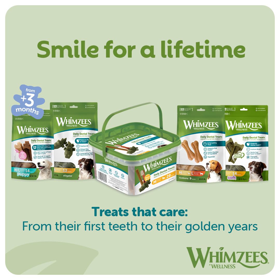 WHIMZEES By Wellness Toothbrush, Month Box, Natural and Grain-Free Dog Chews, Dog Dental Sticks for Medium Breeds, 30 Pieces (One Month Supply), Size M
