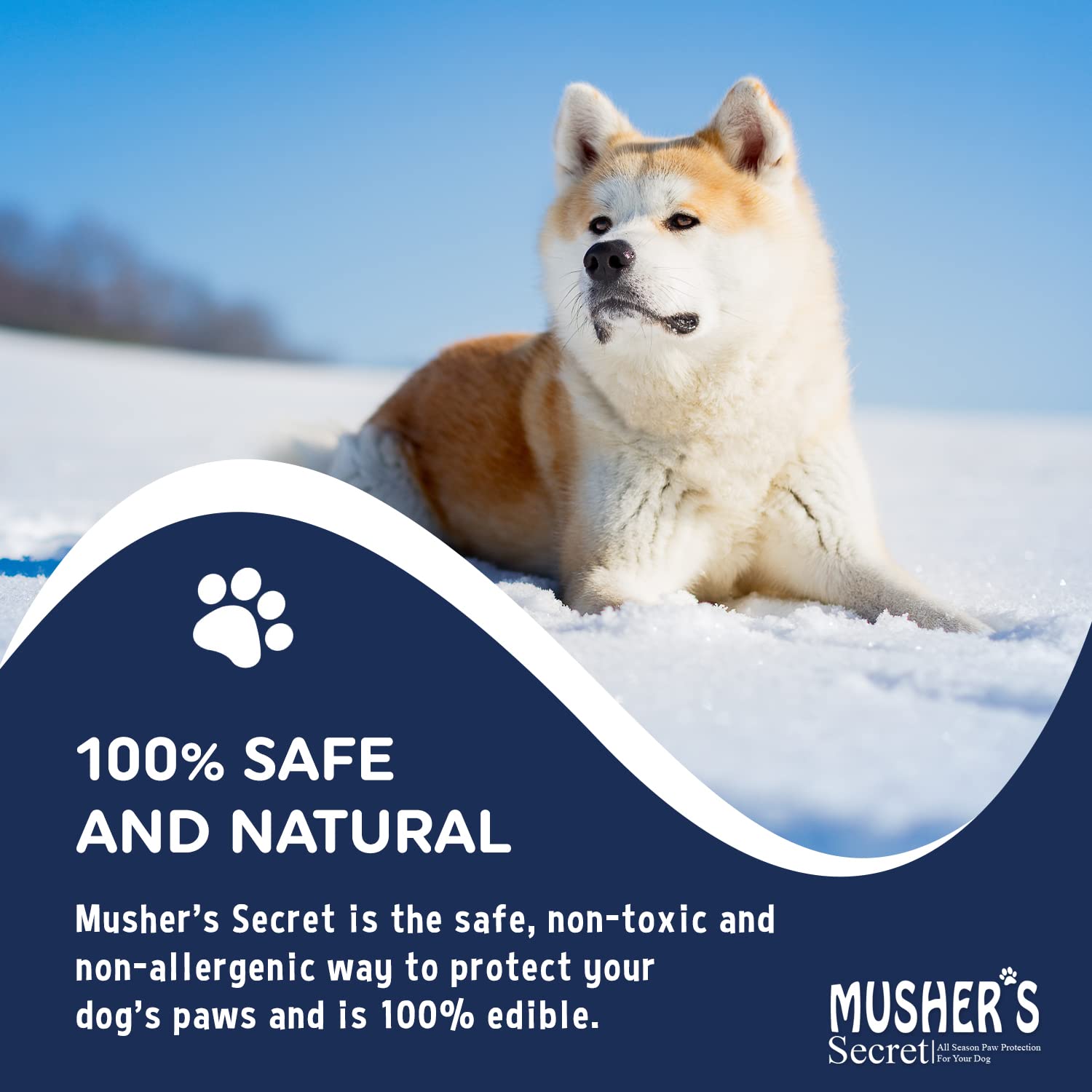 Musher's Secret Paw Protector, Dog Paw Balm Or Dog Nose Balm, Ideal For Dog First Aid Kit, 200 Grams