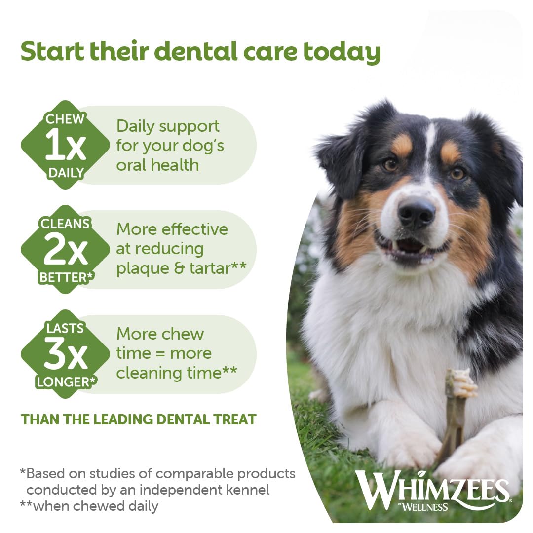 WHIMZEES By Wellness Toothbrush, Month Box, Natural and Grain-Free Dog Chews, Dog Dental Sticks for Medium Breeds, 30 Pieces (One Month Supply), Size M