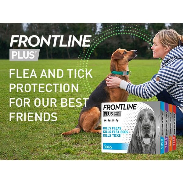 Frontline For Dogs (Plus For Small Dog)