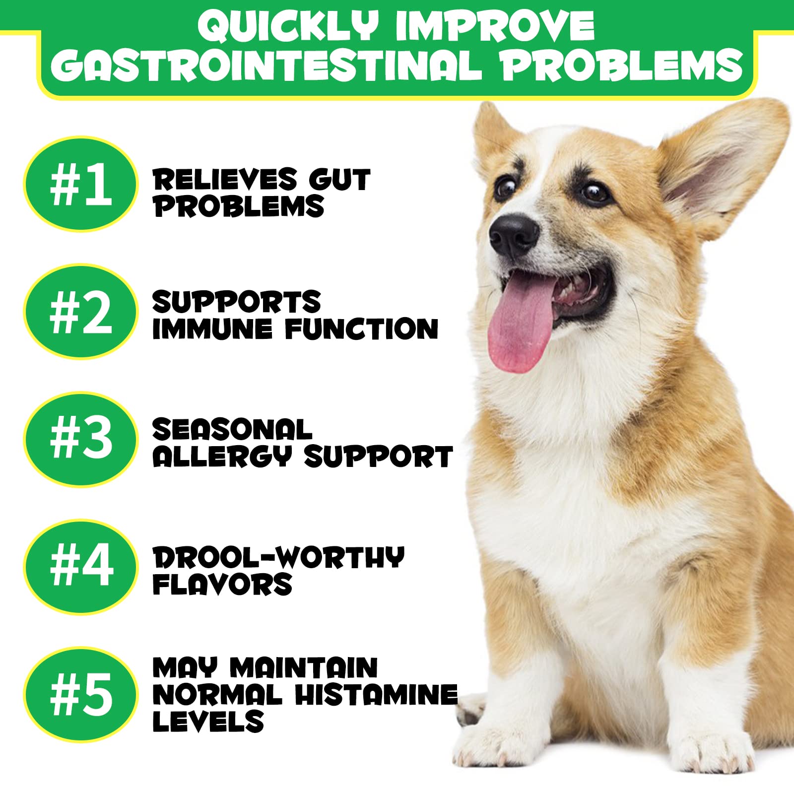 Probiotics for Dogs, Dog Probiotics for Dogs Digestive Enzymes, Gut Health, Itchy Skin, Allergies, Yeast Balance, Immune System and Overall Health Supports, 120 chews/300g