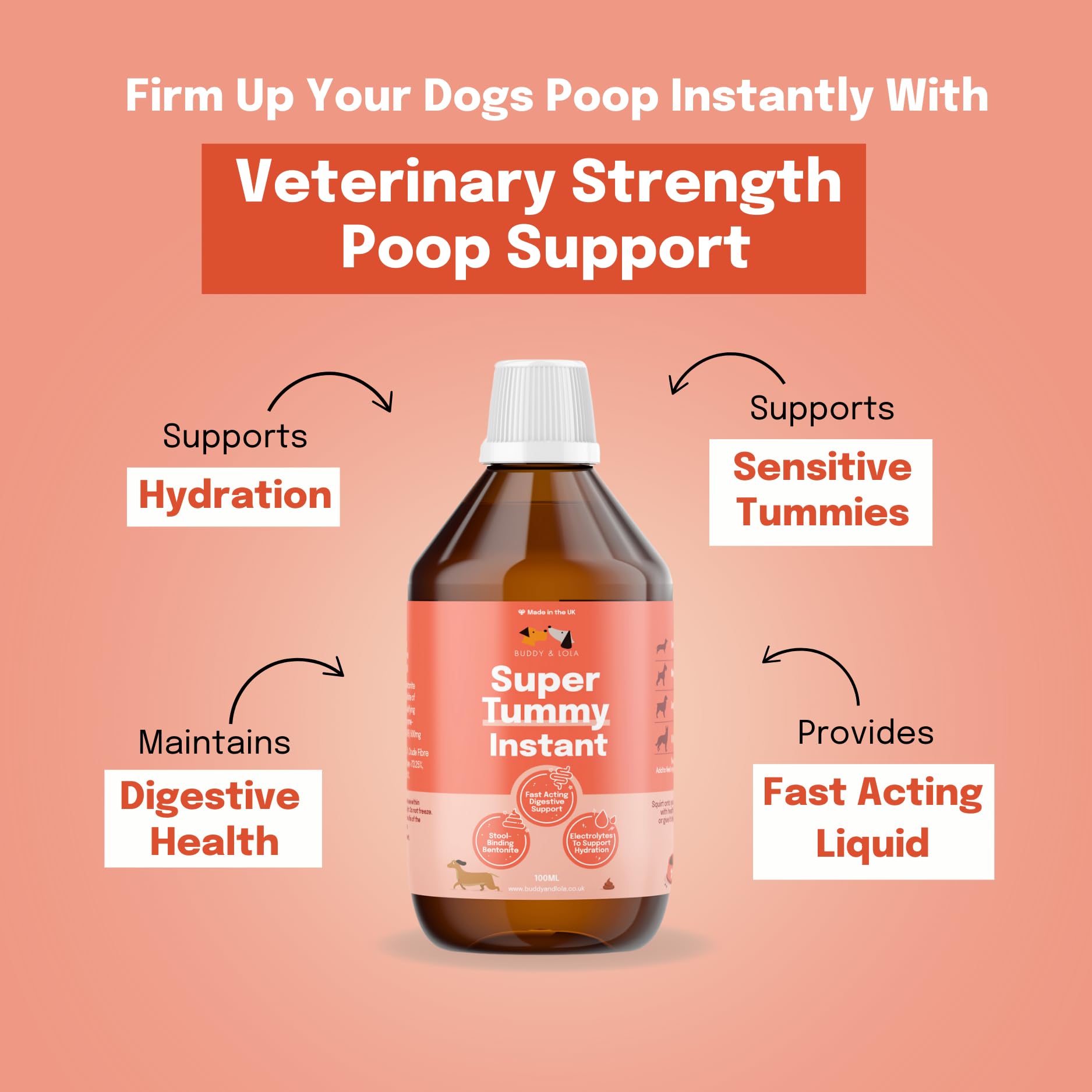 Buddy & Lola Fast-Acting Dog Diarrhea Treatment with Electrolytes - 20 Servings - Tummy Settler For Dogs All Breeds, Sizes and Ages - Syringe Included