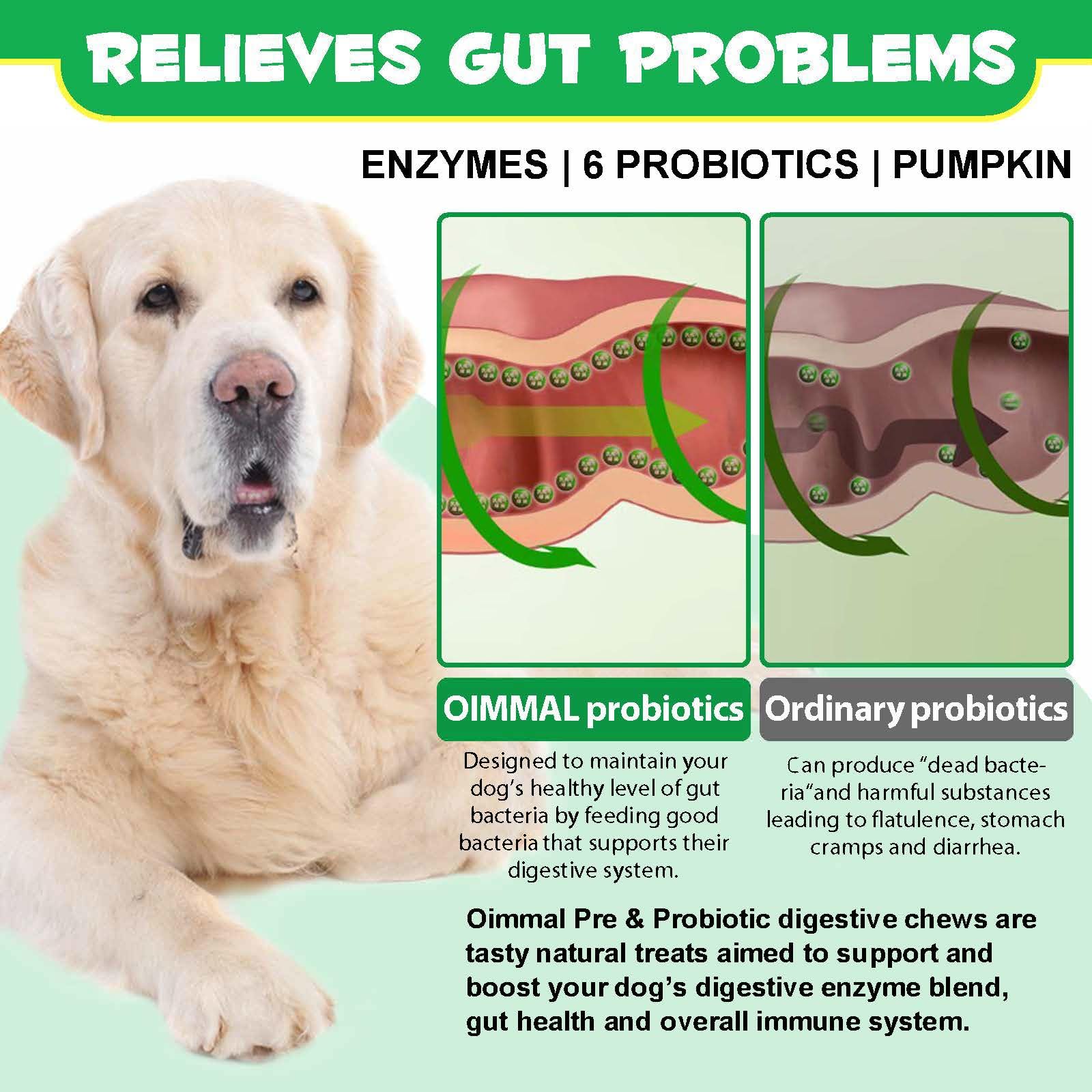 120pcs Probiotics for Dogs,Dog Probiotics for Gut Health,Immunity Health,Upset Stomach Relief for Small, Medium and Large Dogs(Duck Flavor)