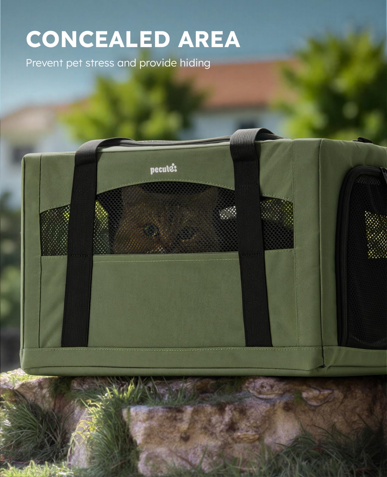 pecute Cat Carrier Stable, Pet Carriers Breathable and Portable, Cat Carriers Bag with Scientific Hidden Partition, Carriers for Cat Under 5kg, Dog Carrier Suitable for Travel and Outing, Green
