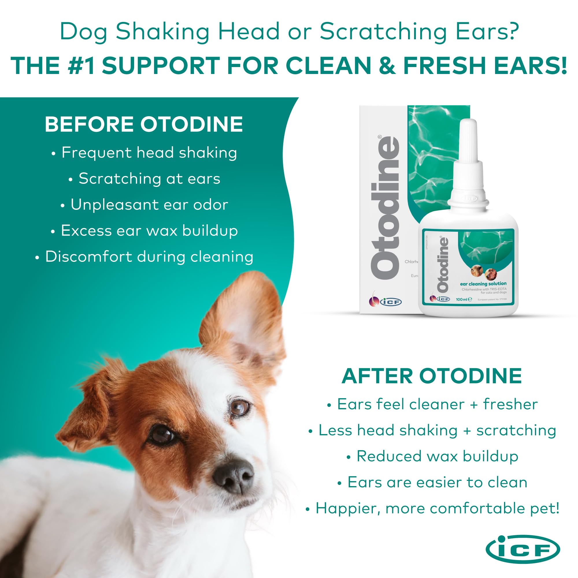 ICF Otodine | Cat & Dog Ear Cleaner Solution | Dog Ear Drops to Stop Wax Build Up, Head Shaking, Discomfort, Ear Odour & Scratching | 100ml