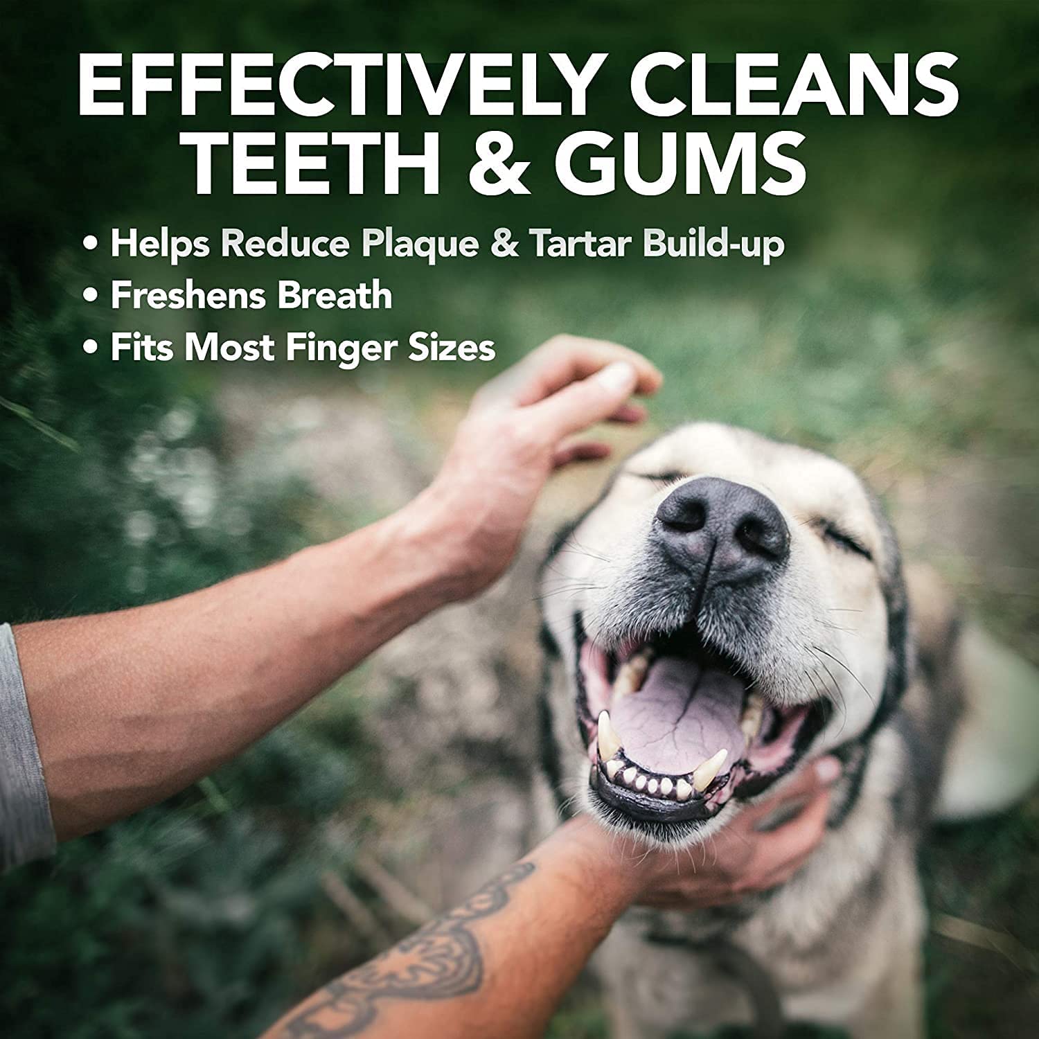Vet's Best Dental Care Finger Wipes | Reduces Plaque & Freshens Breath | Teeth Cleaning Finger Wipes for Dogs & Cats | 50 Disposable Wipes