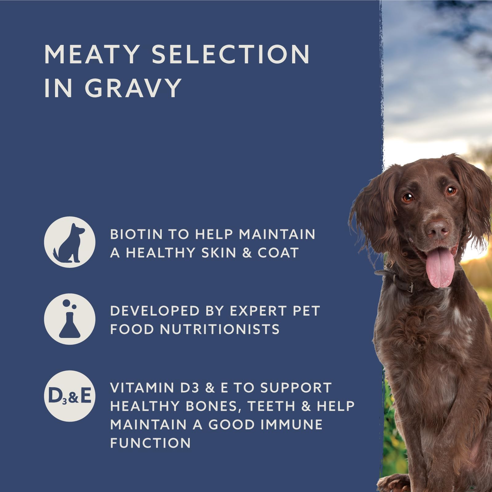 by Amazon Complete Wet Food for Adult Dogs, Meat Selection in Gravy, 4.8 kg (48 pouches of 100g)