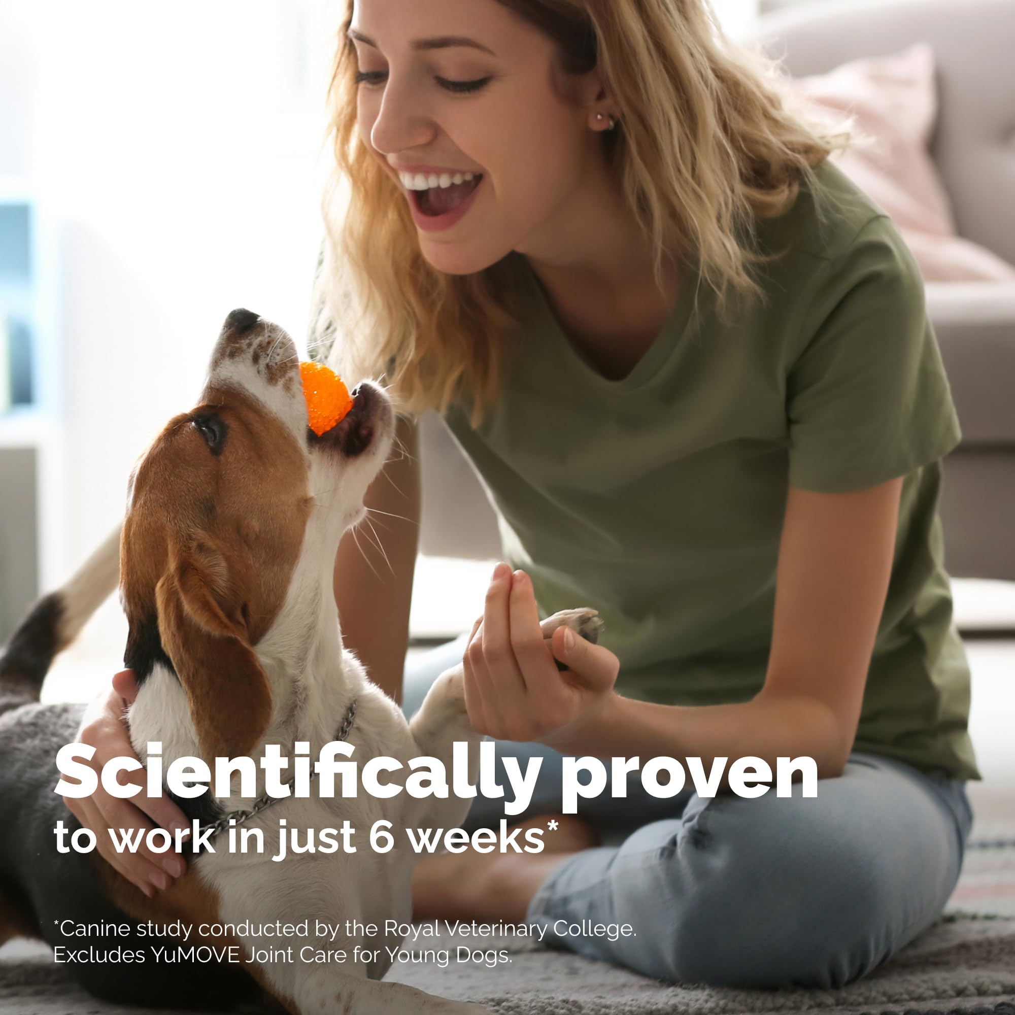 YuMOVE Joint Supplement for Dogs, Essential Dog Hip and Joint Support for Adult Dogs with Glucosamine, Chondroitin, Green Lipped Mussel, Aged 6 to 8, 120 Tablets
