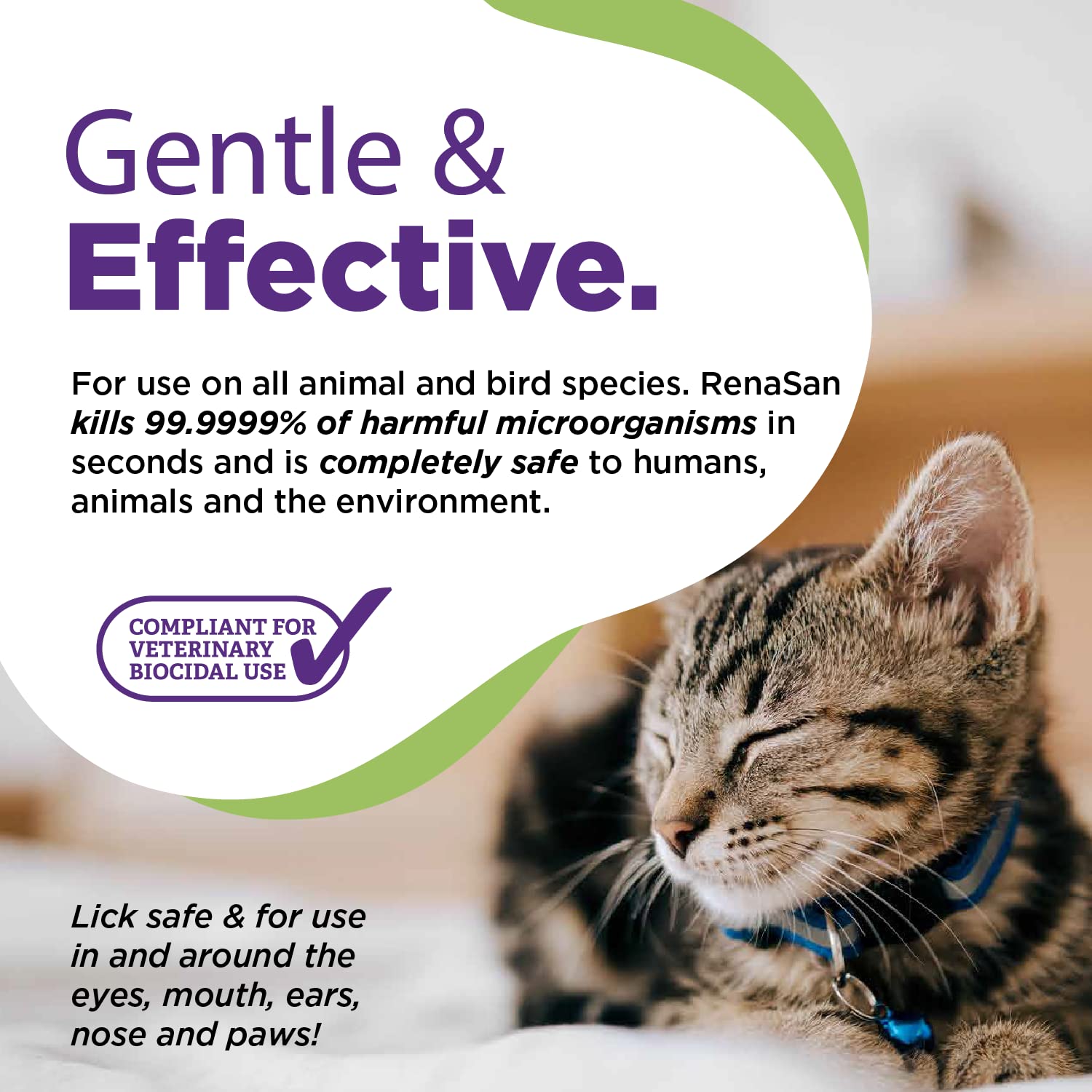 RenaSan Animal Antiseptic Ear Drops – Ear Disinfection, Kills bacteria, Stops Odours, Scratching & Discomfort, Anti-fungal (Yeast), Veterinary-grade, for Dogs, Cats & all other animals (100ml)