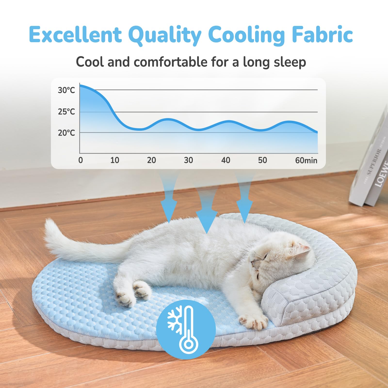CATISM Cool Pet Mat - Cat Cooling Bed with Pillow, Washable Dog Cat Cooling Mat for Indoor Pets Non-Slip Large Kitty Nest (60 * 45cm, blue)