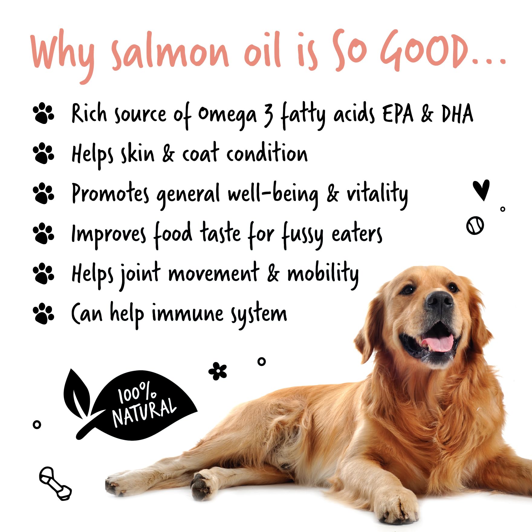 Bugalugs Scottish Salmon Oil For Dogs & Cats, Dog Supplement Support for Skin And Coat, Itchy Skin & Moulting, Omega 3 Fish Oil (Salmon, 500ml)