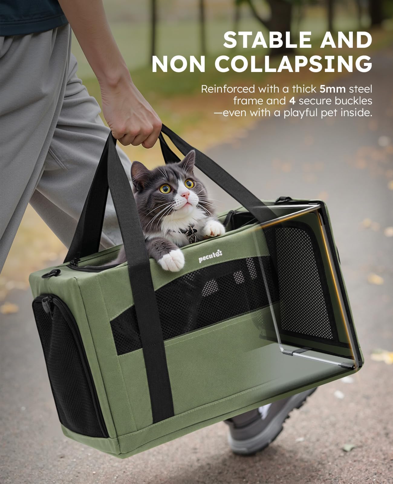 pecute Cat Carrier Stable, Pet Carriers Breathable and Portable, Cat Carriers Bag with Scientific Hidden Partition, Carriers for Cat Under 5kg, Dog Carrier Suitable for Travel and Outing, Green