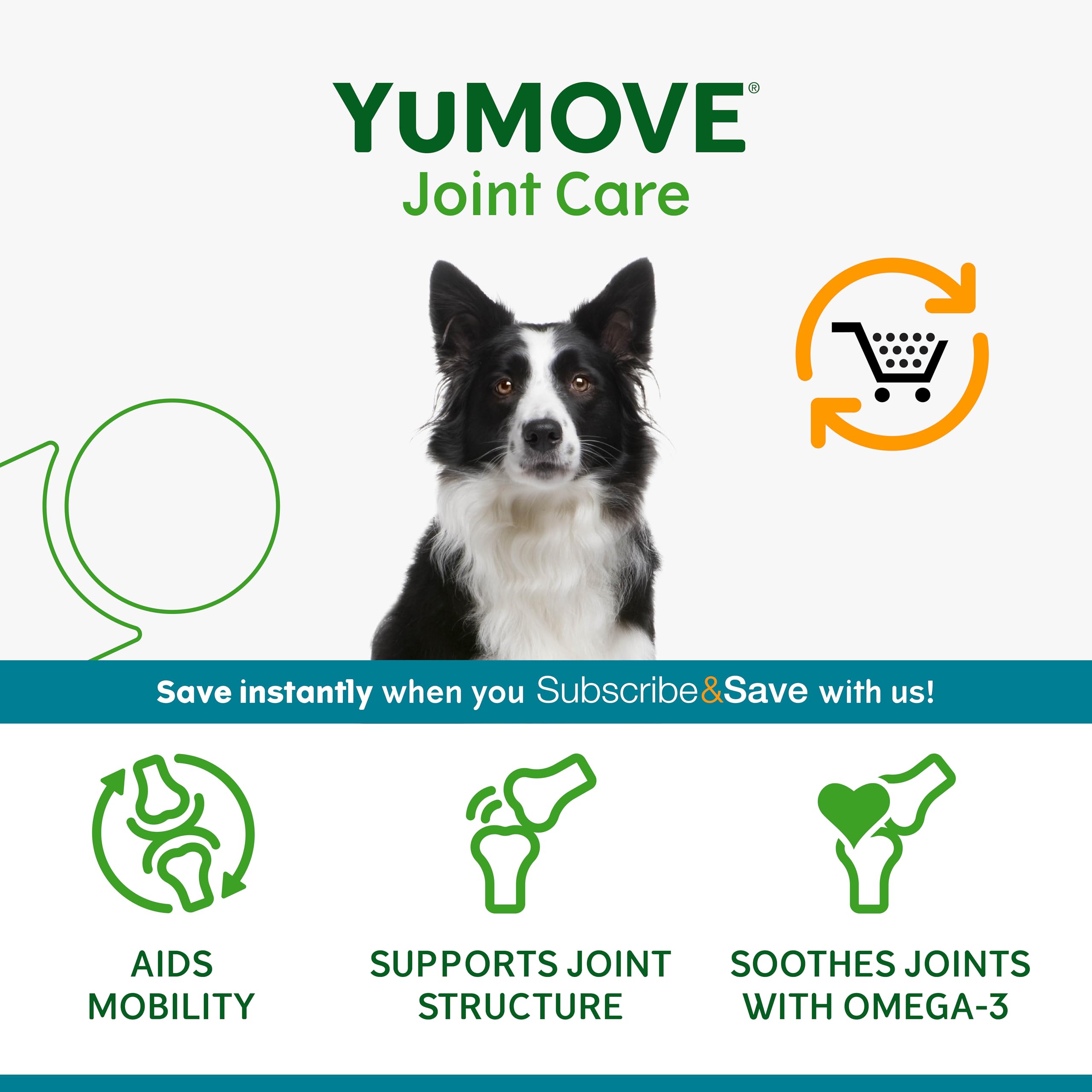 YuMOVE Joint Supplement for Dogs, Daily Bites for Joint Care, Essential Dog Hip and Joint Support for Stiff Adult Dogs with Glucosamine, Chondroitin, Green Lipped Mussel, 60 Tablets