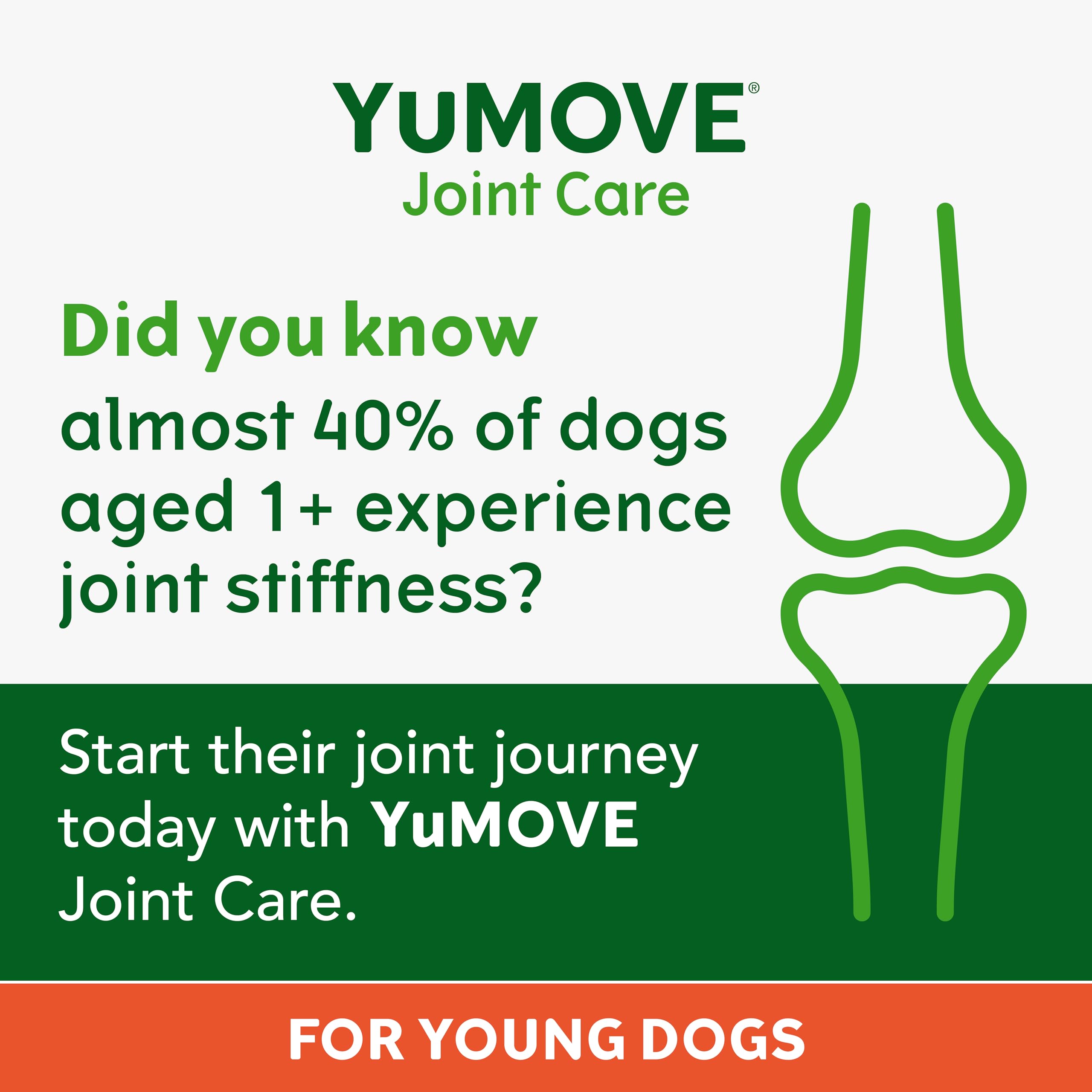 YuMOVE Young and Active Dog | Joint Supplement for Dogs to Support Active and Growing Joints Aged Under 6 | 60 Tablets Clear