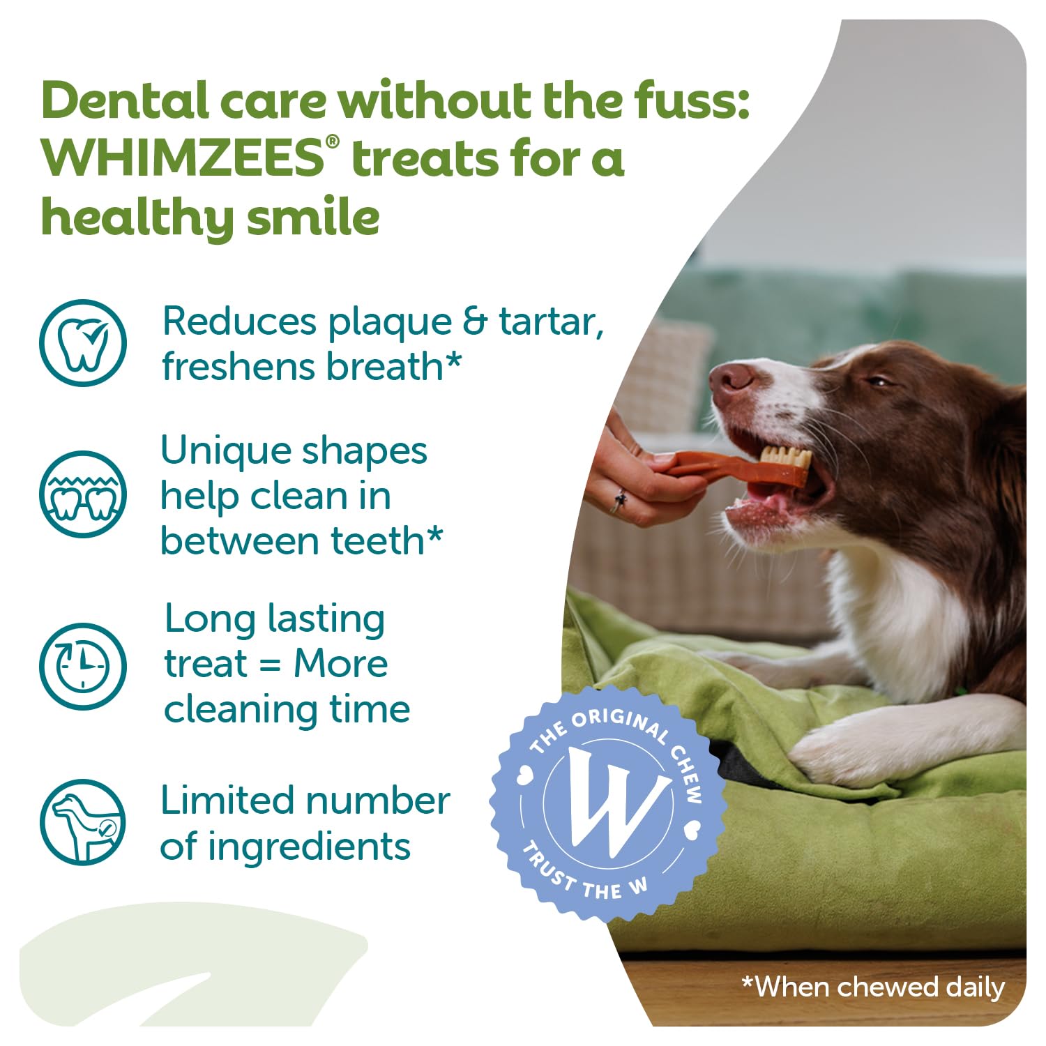 WHIMZEES By Wellness Toothbrush, Month Box, Natural and Grain-Free Dog Chews, Dog Dental Sticks for Medium Breeds, 30 Pieces (One Month Supply), Size M