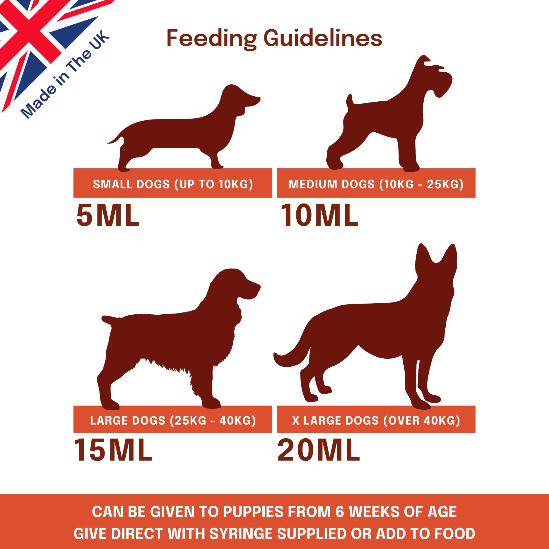 Buddy & Lola Fast-Acting Dog Diarrhea Treatment with Electrolytes - 20 Servings - Tummy Settler For Dogs All Breeds, Sizes and Ages - Syringe Included