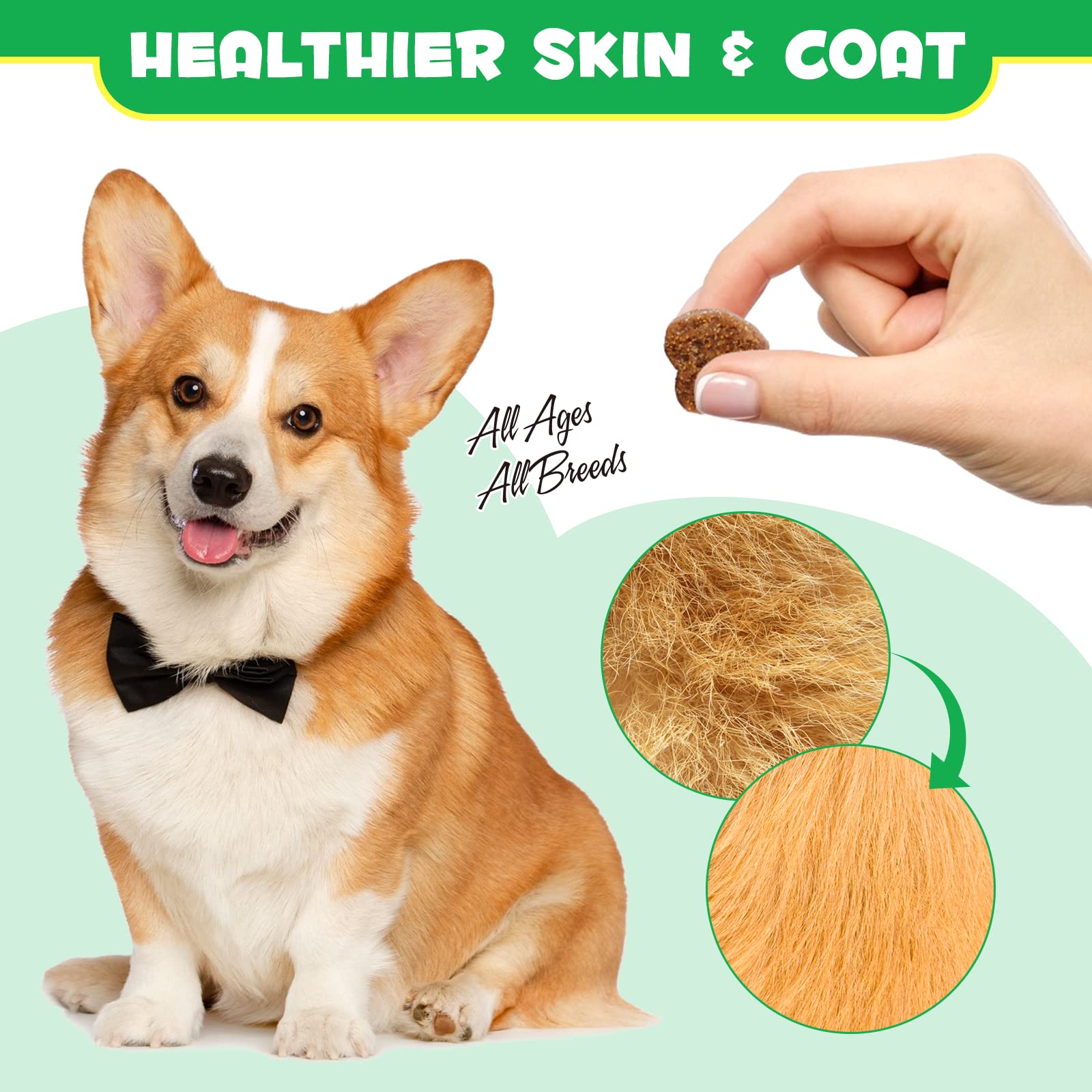 Probiotics for Dogs, Dog Probiotics for Dogs Digestive Enzymes, Gut Health, Itchy Skin, Allergies, Yeast Balance, Immune System and Overall Health Supports, 120 chews/300g