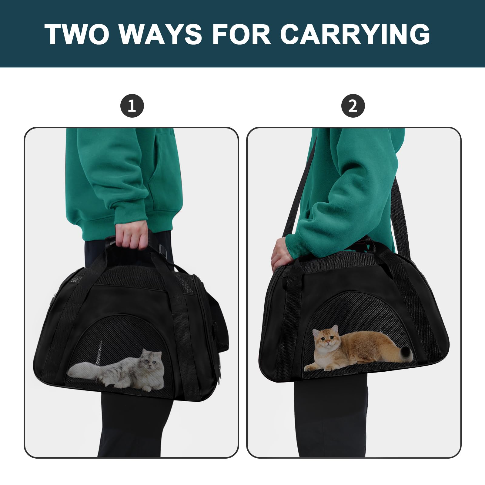Soft Sided Portable Cat Carrier, Foldable Pet Travel Carriers Bag For Cats/Small Dog/Puppy With Shoulder Strap & Removable Mat,Comfort Cat Basket Airline Approved(Black/Medium)