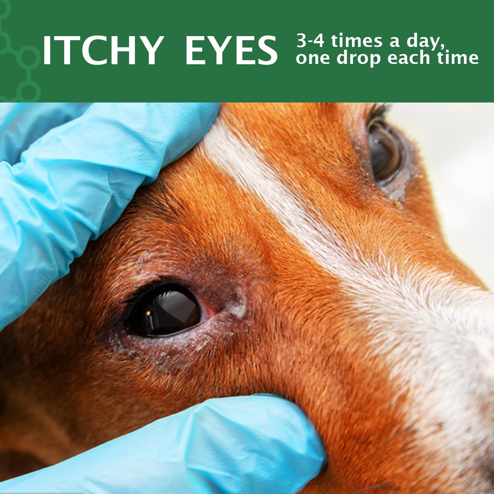 BODY JUICE OIL Dog Eye Drops 60ml, Eye Drops for Dog Cat Antibacterial for Infection, Dry, Itchy, Irritated, Gunky & Tear Stain Eyes