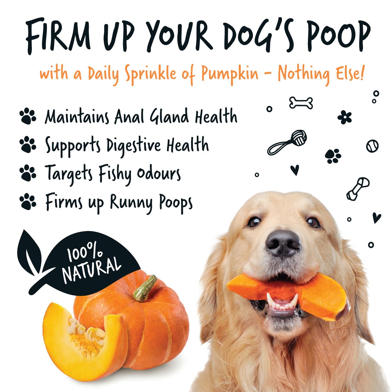 Bugalugs Pumpkin Powder For Dogs- 100% Pure Pumpkin Powder Dog Food Topper, Pumpkin Puree Powder Naturally Rich in Prebiotics & Fibre for Dogs Gut Health & Healthy Stools 200g