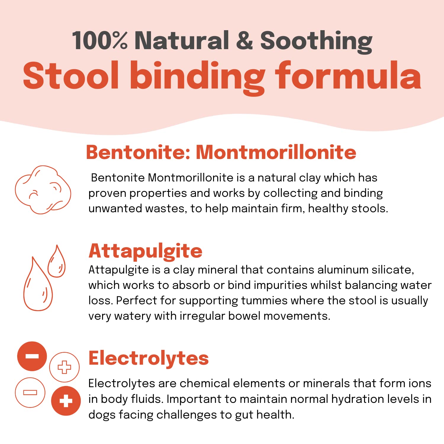 Buddy & Lola Fast-Acting Dog Diarrhea Treatment with Electrolytes - 20 Servings - Tummy Settler For Dogs All Breeds, Sizes and Ages - Syringe Included