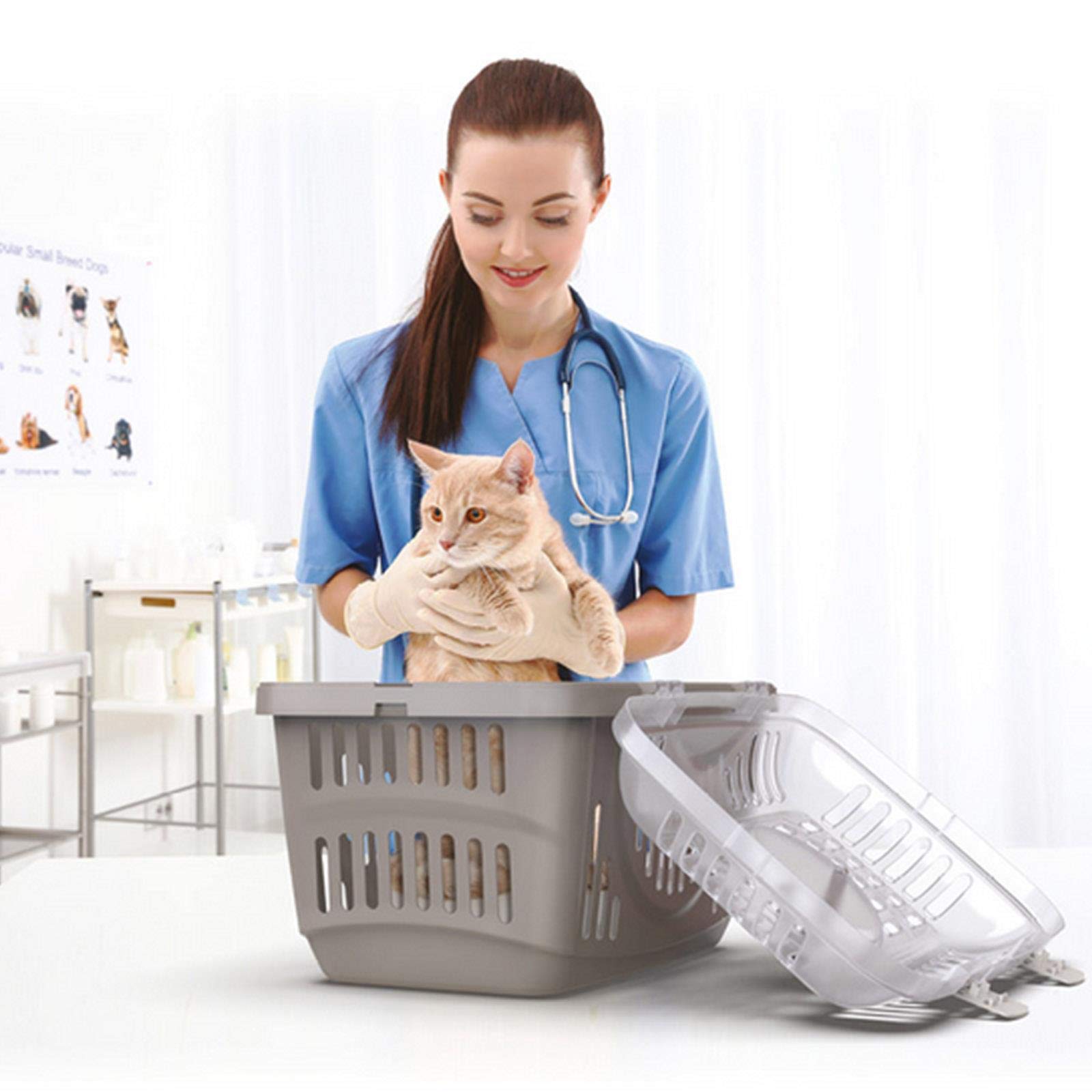 CAT CENTRE Blue & Transparent Lid Pet Dog Puppy Cat Carriers Basket Bag Cage Portable Travel Kennel Training Box