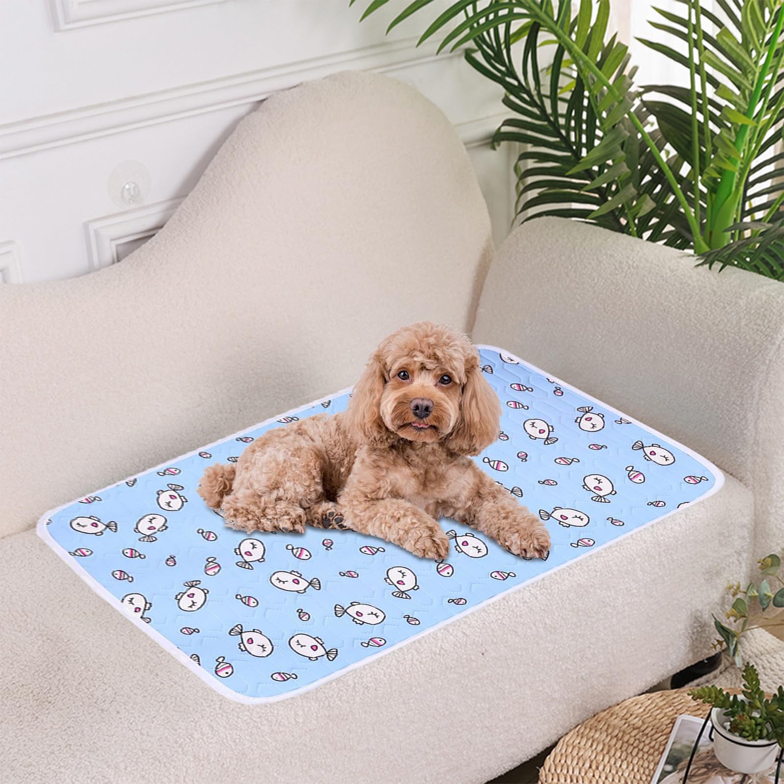 KASESSS Latex CAt Cooling Mat, 50x40cm Pet COoling MAt, PEt COOling Mat for Cats Dogs, Cool Mat for Cats Breathable, Cat Cool Mat, Cat Cooling Pad for Small Medium Pet, Keep Pet Cool in Summer