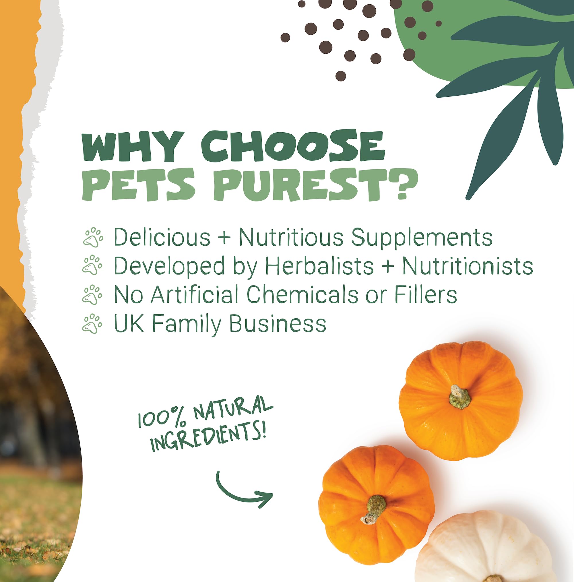 Pets Purest Pumpkin Powder for Dogs - 250g 100% Pure Pumpkin Powder Dog Food Topper, Naturally Rich in Prebiotics & Fibre for Dogs Gut Health & Healthy Stools