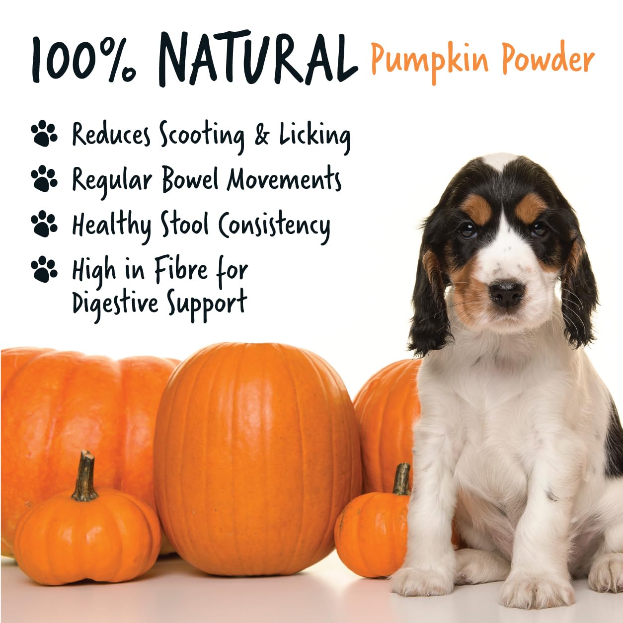 Bugalugs Pumpkin Powder For Dogs- 100% Pure Pumpkin Powder Dog Food Topper, Pumpkin Puree Powder Naturally Rich in Prebiotics & Fibre for Dogs Gut Health & Healthy Stools 200g