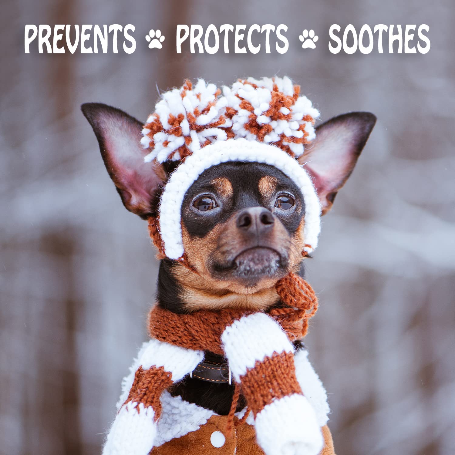 Musher's Secret Paw Protector, Dog Paw Balm Or Dog Nose Balm, Ideal For Dog First Aid Kit, 200 Grams
