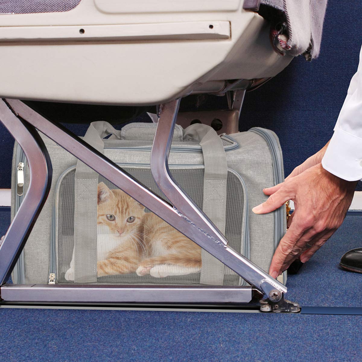 Qlfyuu Cat Carrier Dog Carrier Portable Pet Carrier Soft Sided, Medium Small Airline Approved, Foldable Bunny Puppy Cat Bag up to 15lbs for Travel(Gery,Medium)