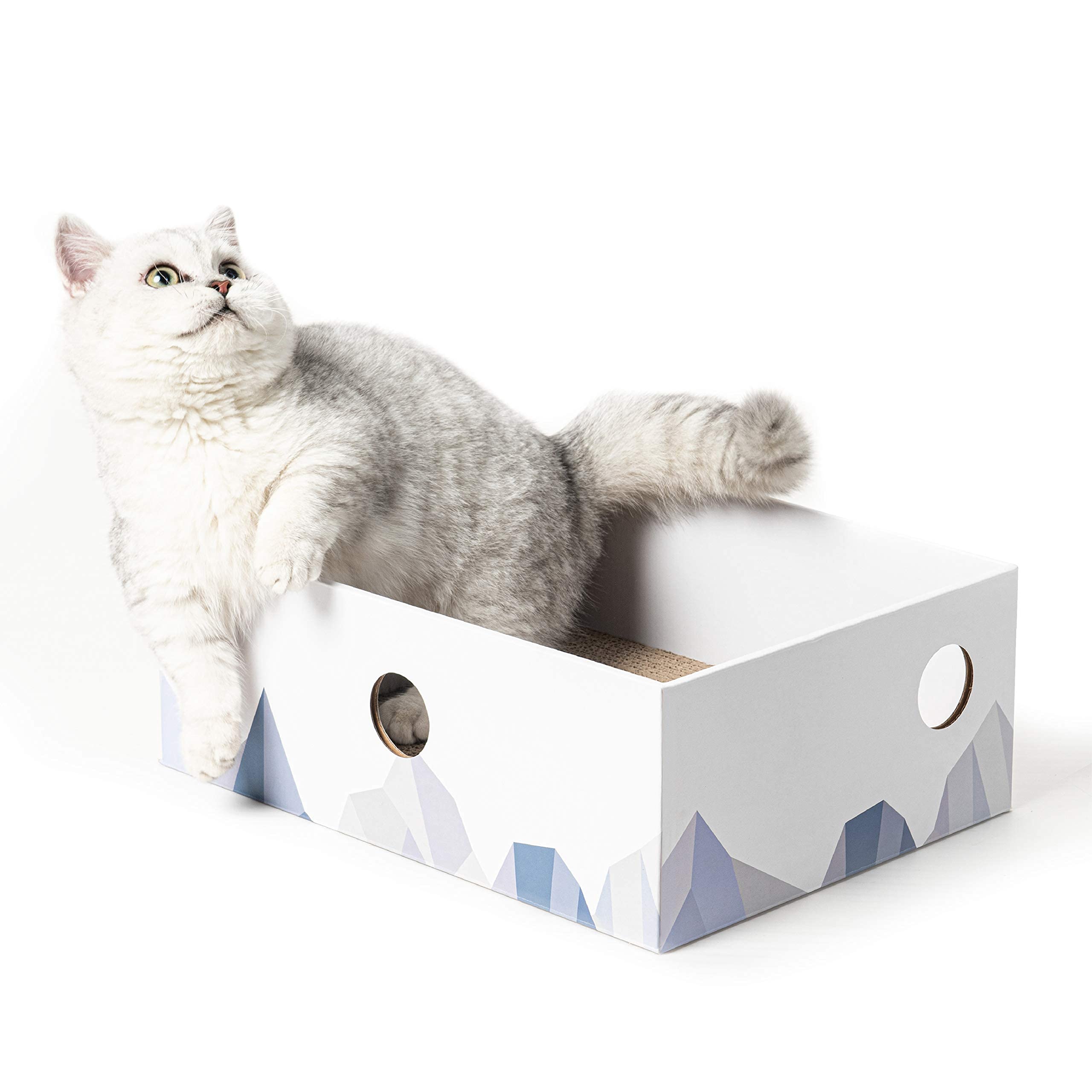 Conlun Cat Scratching Board with Box, Durable Cardboard Cat Scratcher Box, Double-sided Corrugated Scratch Pad, Interactive Holes & Mess-Free Design, Toy Gift for Kitty (1-Pack, Medium, White)