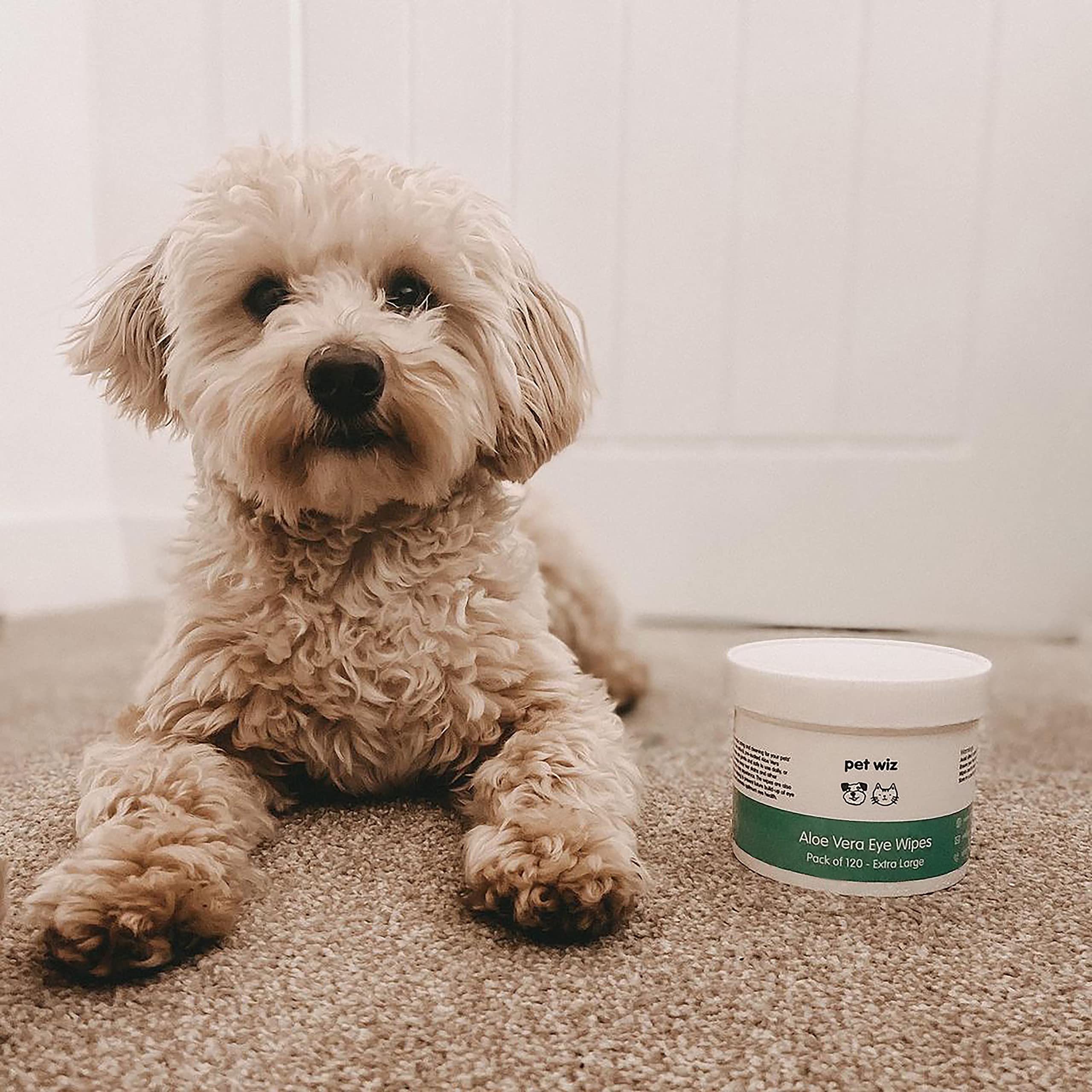 pet wiz Vet Approved | 120 Extra Large Natural Eye Wipes | Gentle & Soothing