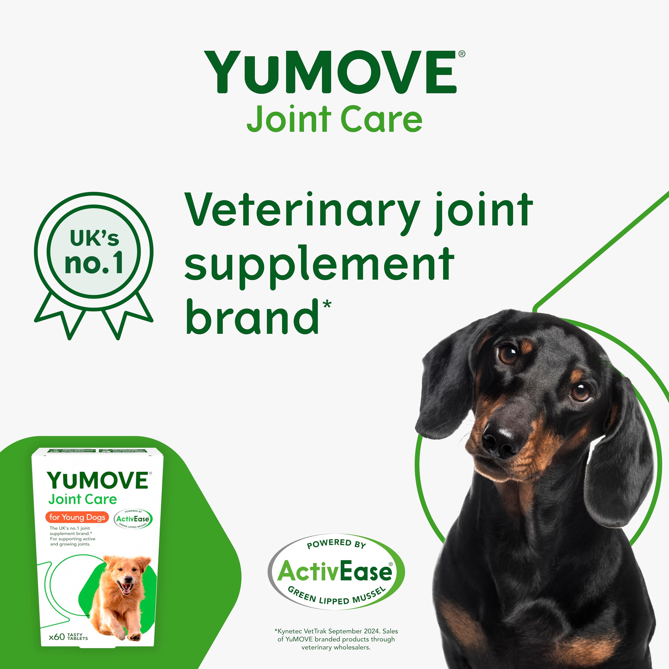 YuMOVE Young and Active Dog | Joint Supplement for Dogs to Support Active and Growing Joints Aged Under 6 | 60 Tablets Clear