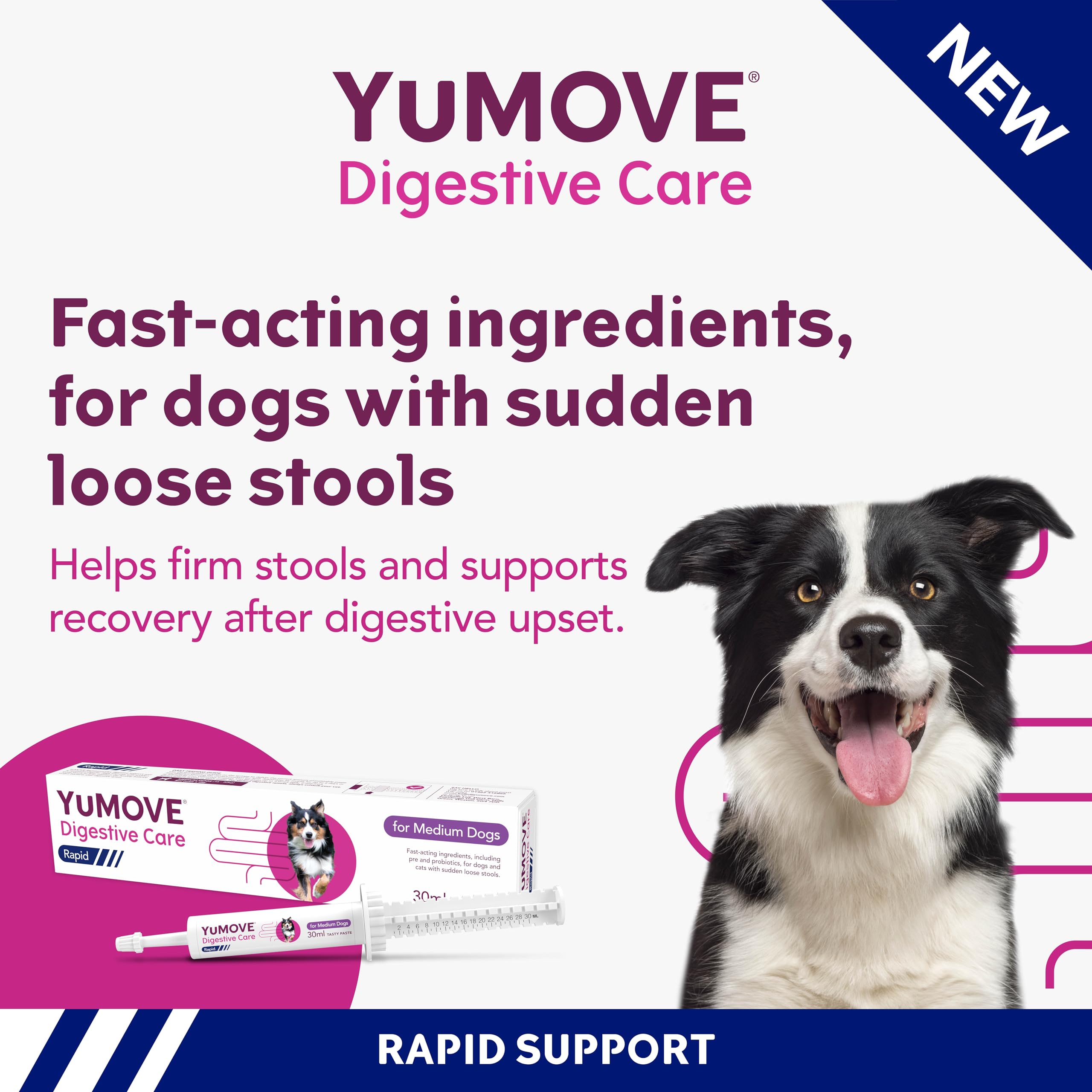 YuMOVE Digestive Care Rapid, Dog Pre and Probiotic Paste for Gut Health, Digestive Supplements with Fast-Acting Ingredients for Medium Dogs, 30ml