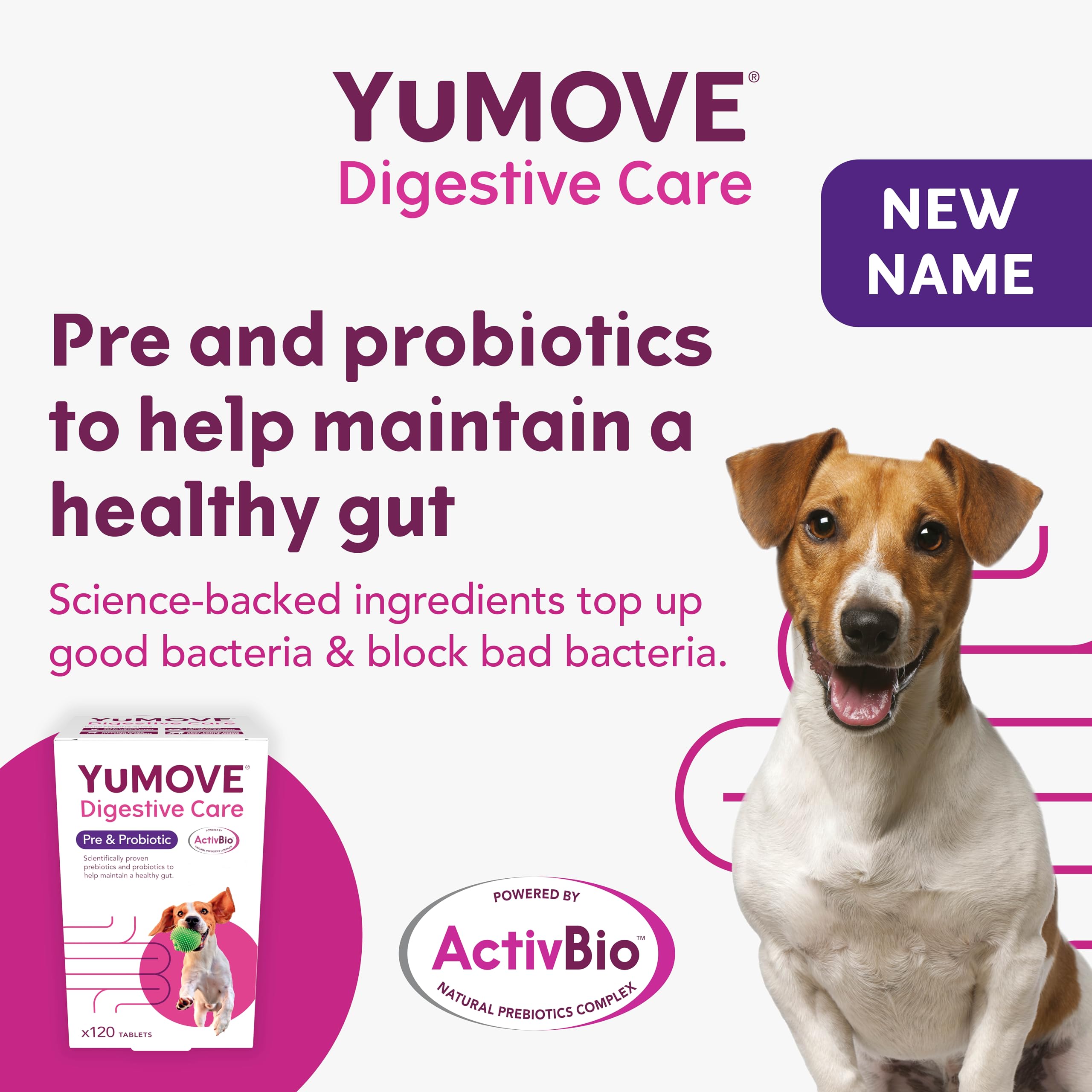 YuMOVE Digestive Care, Dog Pre and Probiotics Supplement for Gut Health, Digestive Support for All Ages and Breeds, 120 Tablets - Eco Friendly and Letter Box Ready Packaging