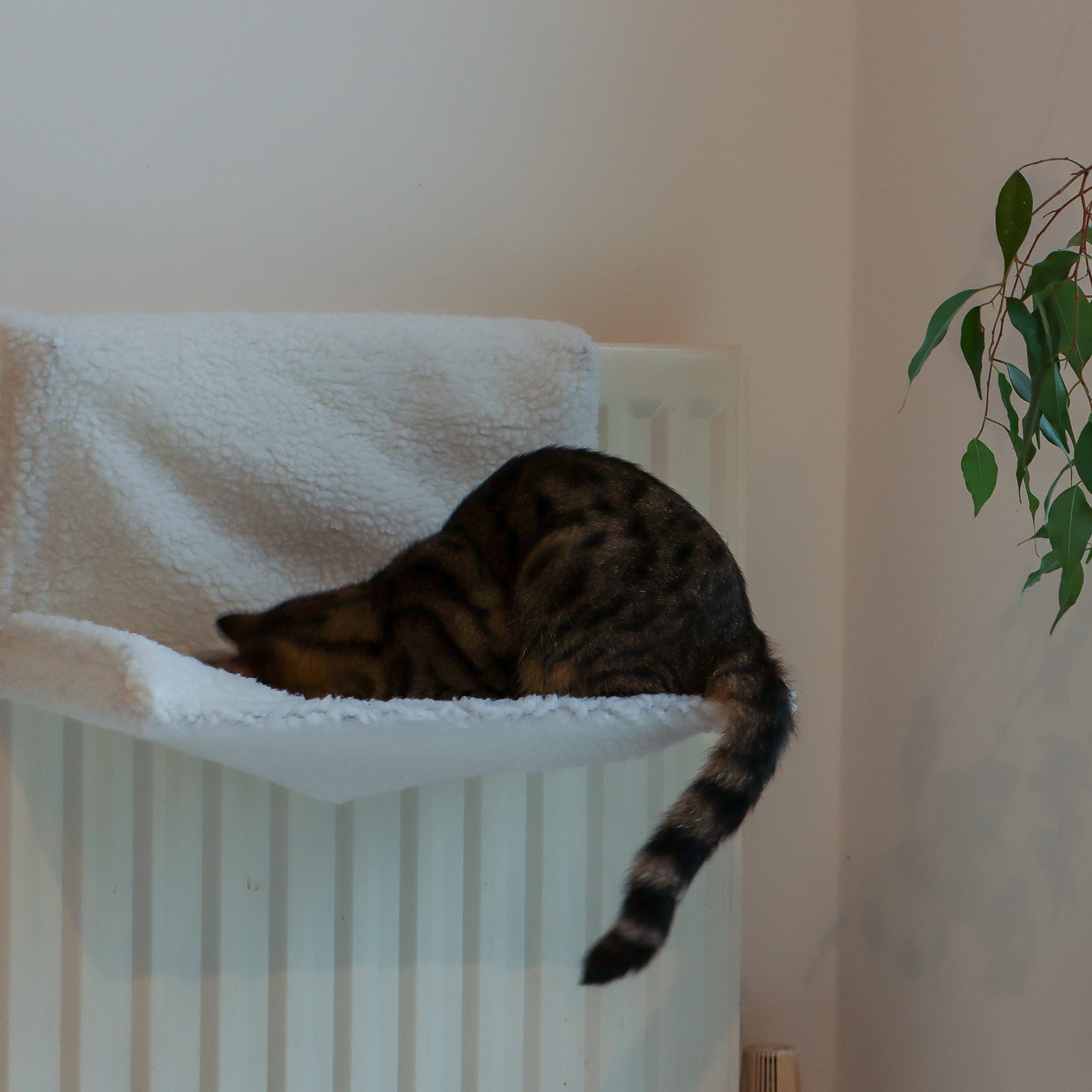 DIVCHI Cat Radiator Bed | Warm Fleece Hammock With Washable Cover | Hanging Radiator beds For Indoor Cats for Kittens & Cats (44x29x23cm) (White Pet Radiator Bed)