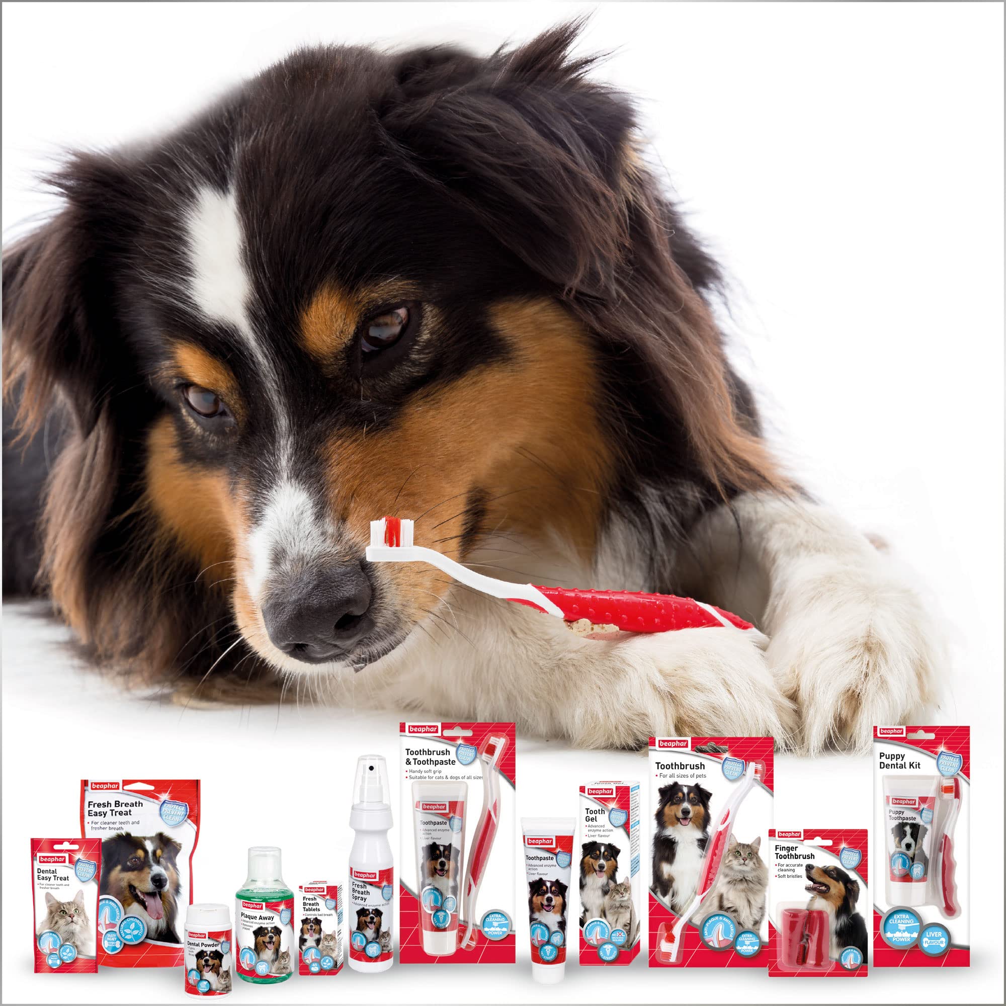Beaphar - Advanced Dual-Enzyme Toothpaste - Dental Care for Dogs and Cats - Helps Prevent Bad Breath and Combat Plaque - Liver-Flavoured -100g Tube