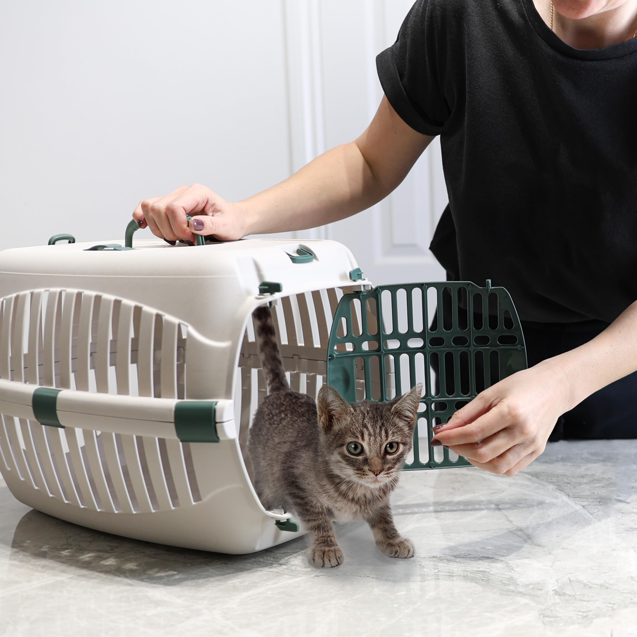DIVCHI Cat Carrier Transport Crate Dogs Carrying Box Kitten Carry Basket Cats Puppys Travel Cage